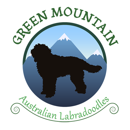 Green Mountain Australian Labradoodles