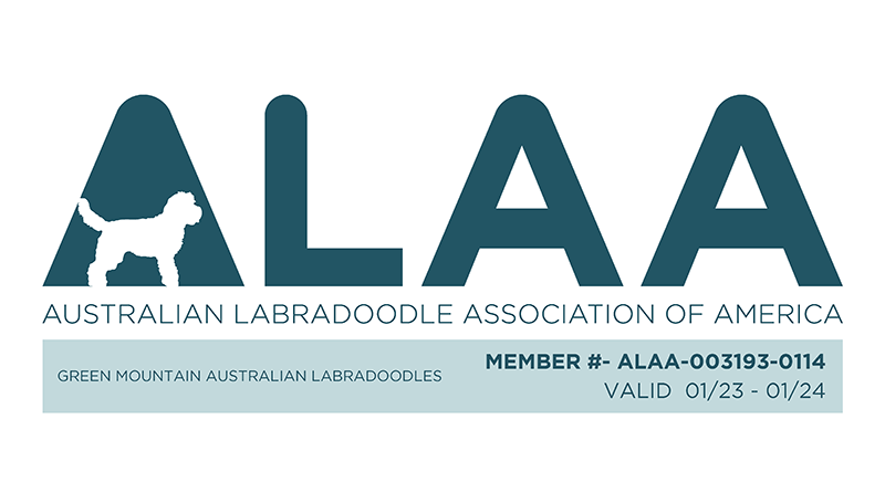 ALAA Member 2023
